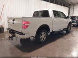 Ford F-150 Fx4/Harley-Davidson/King Ranch/Lariat/Platinum/Xl/Xlt 1FTFW1EV4AFD93938 снимка