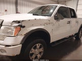 Ford F-150 Fx4/Harley-Davidson/King Ranch/Lariat/Platinum/Xl/Xlt 1FTFW1EV4AFD93938 снимка