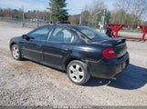 DODGE NEON R/T 1B3AS76FX3D167502 снимка