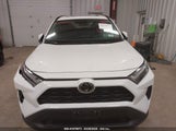 TOYOTA RAV4 XLE 2T3P1RFV6PW345106 fotografie