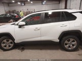 TOYOTA RAV4 XLE 2T3P1RFV6PW345106 fotografie