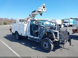 FORD F-450 CHASSIS XL 1FDUF4GY2BEA31643 photo