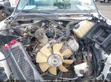 FORD F-450 CHASSIS XL/XLT 1FDAF46Y09EB26605 fotografie