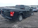 FORD F-150 XL 1FTEW1EP6GFC96021 снимка