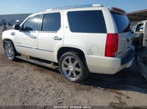 Cadillac Escalade Hybrid Standard 1GYUKEEJ5AR213172 снимка