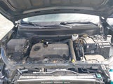 CHEVROLET EQUINOX AWD 2FL 2GNAXTEV4M6125917 снимка