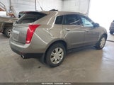 CADILLAC SRX LUXURY COLLECTION 3GYFNDEY0BS610259 снимка