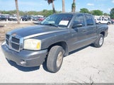 Dodge Dakota Slt 1D7HE48N06S506278 снимка