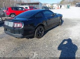 FORD MUSTANG V6/V6 PREMIUM 1ZVBP8AN0A5181535 photo