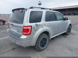 Ford Escape Xlt 1FMCU9D76BKC24437 fotografie
