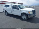 FORD F-150 XL 1FTMF1CM8BKD62475 снимка