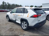 TOYOTA RAV4 XLE JTMP1RFV7KD521148 photo