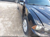 DODGE CHARGER 2B3CL3CG5BH535789 снимка