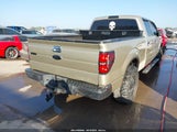 FORD F-150 FX2 SPORT/XL/XLT 1FTEW1C86AKA49642 photo