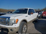 FORD F-150 FX4/KING RANCH/LARIAT/PLATINUM/XL/XLT 1FTPW14V69FB27581 photo