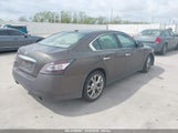 NISSAN MAXIMA 3.5 SV 1N4AA5AP6EC443100 снимка