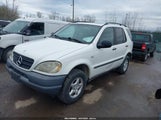 MERCEDES-BENZ ML 320 4JGAB54E3XA141663 fotografie