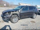 JEEP CHEROKEE LIMITED 1C4PJMDB9GW321735 снимка