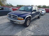 DODGE DAKOTA SLT 1D7HL48NX3S141755 снимка