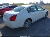 NISSAN MAXIMA 3.5 SE 1N4BA41E55C806063 снимка