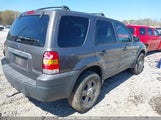 FORD ESCAPE XLS 1FMYU02Z95KC05634 снимка