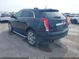 CADILLAC SRX PREMIUM COLLECTION 3GYFNCEY1BS626559 снимка