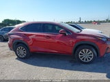 LEXUS NX 300 JTJAARBZ9L5007583 снимка