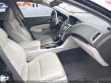 ACURA TLX 19UUB1F3XFA023244 снимка