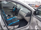 TOYOTA COROLLA LE 2T1BU4EE8DC019965 fotografie
