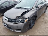 HONDA CIVIC LX 19XFA1F56AE001288 снимка