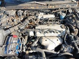 HONDA ACCORD EX 1HGCD5653SA117233 снимка