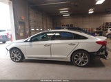 HYUNDAI SONATA LIMITED 2.0T 5NPE34AB8HH463801 photo