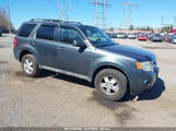 FORD ESCAPE XLT 1FMCU937X9KA26584 снимка
