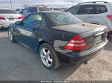 MERCEDES-BENZ SLK 320 WDBKK65F02F241087 снимка