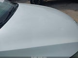 KIA OPTIMA EX 5XXGN4A74FG416269 снимка