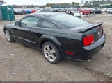 FORD MUSTANG GT 1ZVHT82H965112395 снимка