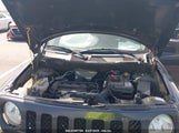 JEEP PATRIOT SPORT 1C4NJPBA8GD554133 photo