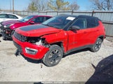 JEEP COMPASS TRAILHAWK 4X4 3C4NJDDB4JT336745 снимка