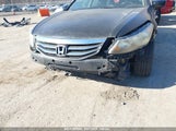 HONDA ACCORD 2.4 EX-L 1HGCP2F80CA065397 снимка