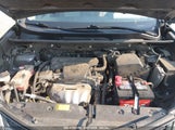 TOYOTA RAV4 LE JTMBFREVXED076194 снимка