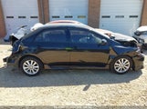TOYOTA COROLLA S/LE/XLE 1NXBU4EEXAZ253079 снимка