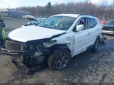 HYUNDAI SANTA FE SPORT 2.4L 5XYZUDLB3EG168992 fotografie