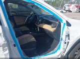 TOYOTA RAV4 XLE JTMWFREV0HJ101157 снимка