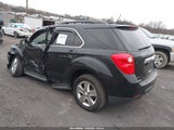CHEVROLET EQUINOX 1LT 2GNFLEEK5D6341813 снимка