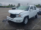 HONDA RIDGELINE RTL 5FPYK1F58EB011186 fotografie