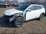 HYUNDAI TUCSON LIMITED 5NMJECAE3PH282307 снимка