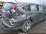 HONDA CR-V LX 5J6RM4H3XFL094438 снимка