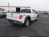FORD F-150 XLT 1FTFX1ET7BFB74548 снимка