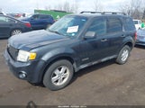 FORD ESCAPE XLT 1FMCU03ZX8KC64558 снимка