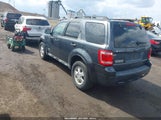 FORD ESCAPE XLT 1FMCU03ZX8KC64558 снимка